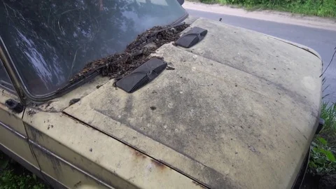 Broken-down old car standing in the yard Stock Footage 75962927