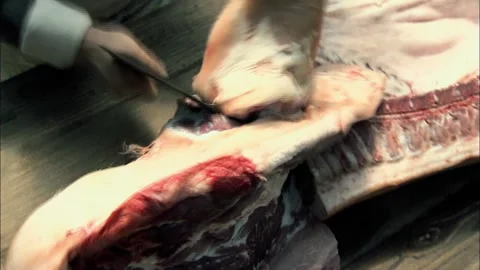 Broken down pork Stock Footage 235280345