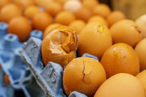 Broken egg box, Fez, morocco, africa Stock Photos