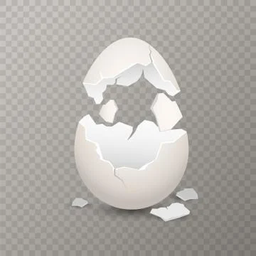 Broken egg. Chicken cracked eggshell. Opened egg with broken shell, farm bird Stock Illustration