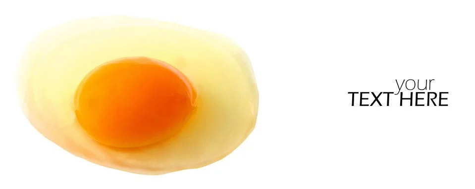 Broken egg with the copy space Foto stock