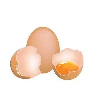Broken egg with eggshell and yolk Stock Illustration