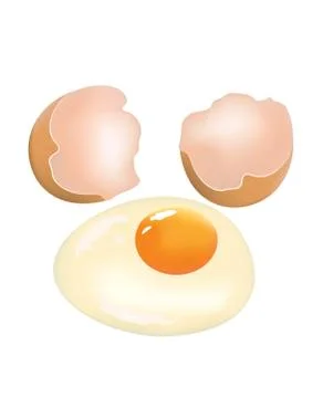Broken egg with eggshell Stock Illustration