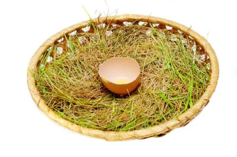 Broken egg on a grass Stock Photos