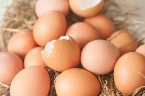 Broken egg in group Stock Photos