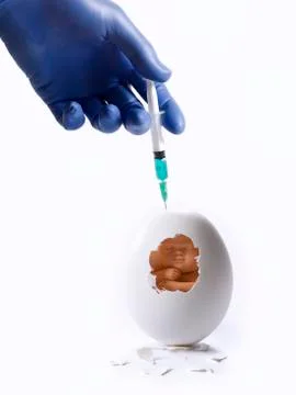 Broken egg with a human fetus inside, and a hand with a syringe Stock Photos