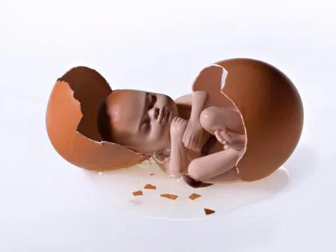 Broken egg with a human fetus inside Stock Photos