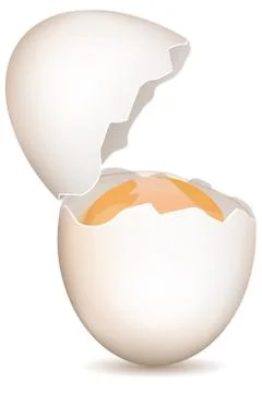 Broken egg Stock-Illustration