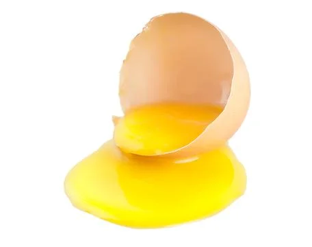 Broken egg isolated Stock Photos