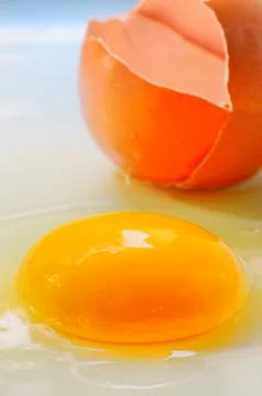 Broken egg isolated Stock Photos