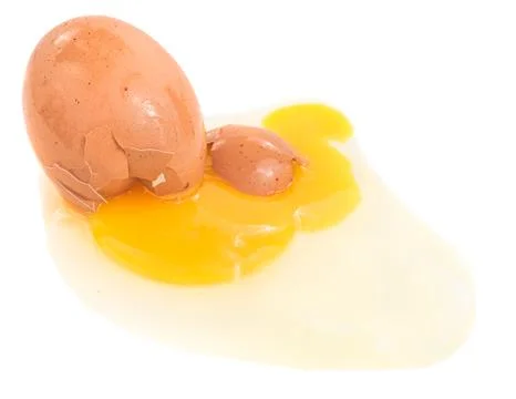 Broken egg isolated Stock Photos