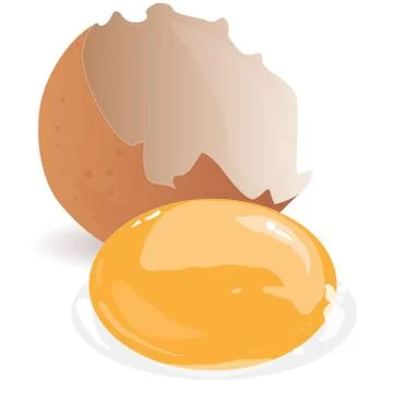Broken egg isolated vector Stock Illustration