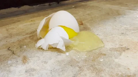 Broken Egg on Kitchen Floor - Yolk Stock Footage 231924848