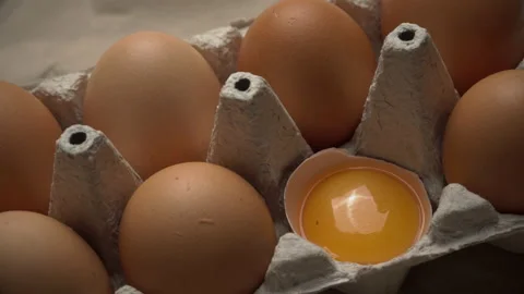 The Broken Egg lies in the Container Among the Whole Eggs Stock Footage 169716020