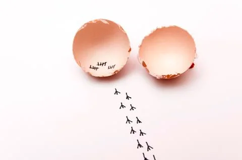 Broken egg 写真素材