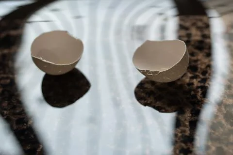 Broken egg, protein and shell on leopard skin Photos