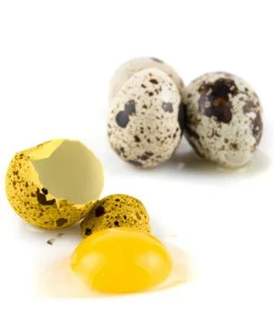 Broken egg quail Stock Photos