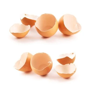 Broken egg shell composition Foto stock