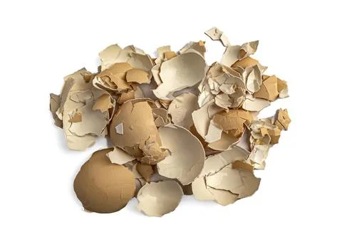 Broken Egg Shell, Cracked Eggshells, Broken Egg Shells on White Background Foto stock
