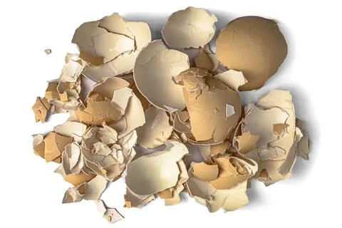 Broken Egg Shell, Cracked Eggshells, Broken Egg Shells on White Background Foto stock