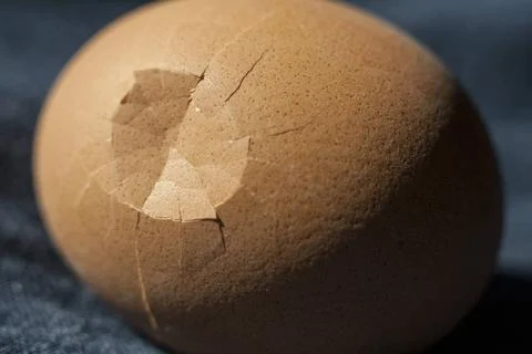 Broken egg shell Egg with cobweb pattern on broken shell Copyright: xZoona... Stock Photos