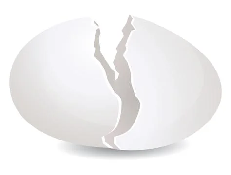 Broken Egg shell - Illustration Illustrazione stock