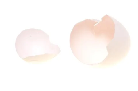 Broken egg shell Stock Photos