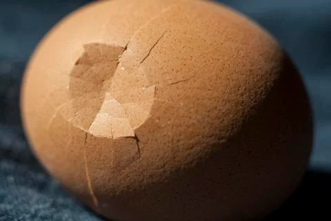 Broken egg shell Stock Photos
