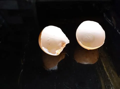 Broken egg shells Foto stock