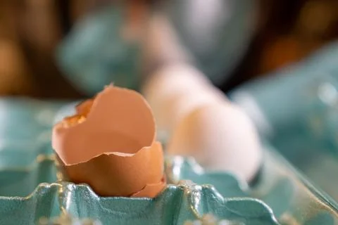 Broken egg shells Foto stock