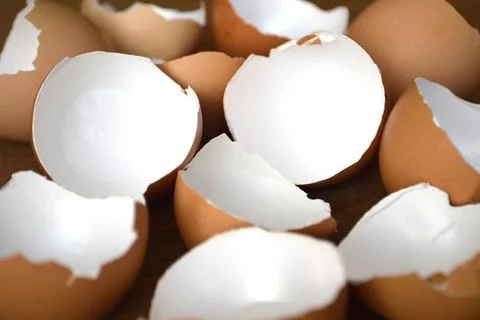 Broken egg shells Stock Photos