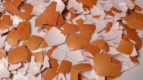 Broken Egg shells rotating pattern macro texture background backdrop footage Stock Footage 91381525
