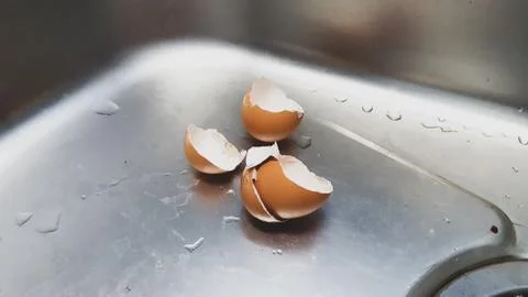 Broken Egg Shells In Sink Stock Photos