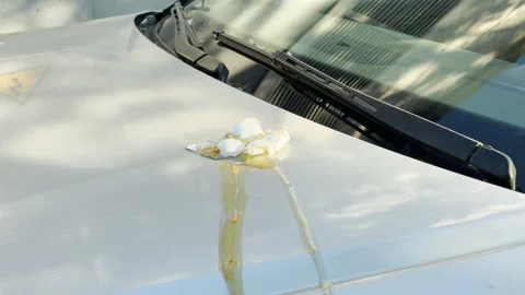 Broken Egg Smears Across White Car Hood After Vandalism Stock Footage 336923695