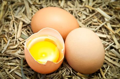 Broken egg on straw Stock Photos