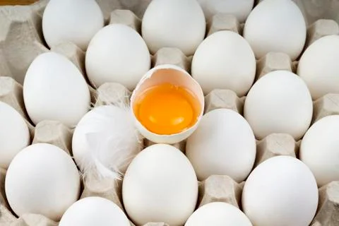 Broken egg on the tray with feathers Foto stock