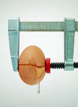 Broken egg under pressure in bar clamp Fotos Stock