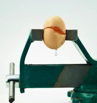 Broken egg under pressure in bench vice Fotos Stock