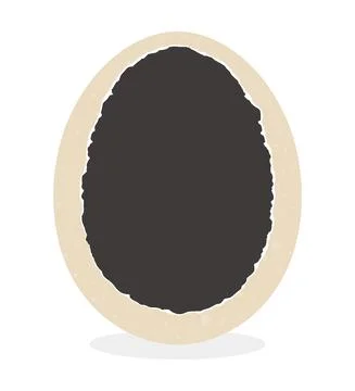 Broken egg on the white background Stock Illustration