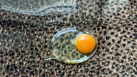 Broken egg with yolk and protein on leopard print Stock Footage 102673151