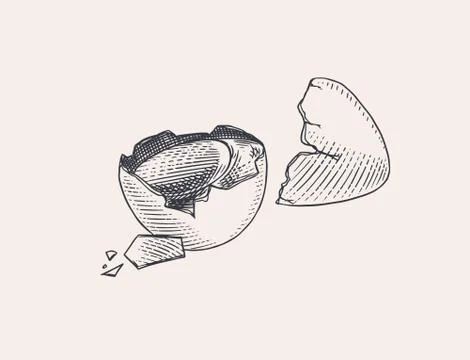Broken egg with yolk and shell. Farm product. Engraved hand drawn retro vintage Stock Illustration