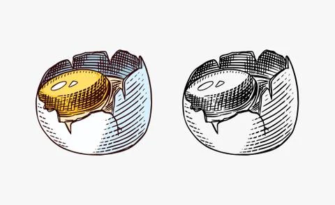 Broken egg with yolk and shell. Farm product. Engraved hand drawn retro vintage Stock Illustration