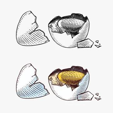 Broken egg with yolk and shell. Farm product. Engraved hand drawn retro vintage Stock Illustration