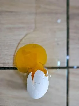 Broken egg with yolk Stock Photos