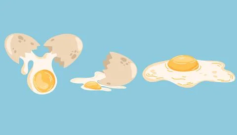 Broken eggs and scrambled eggs. Poultry farming. Yolk, albumen, eggshell. Hea Stockillustratie