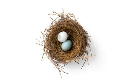 Broken eggs in bird nest Stock Photos