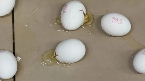 Broken eggs on a brown surface showing cracked shells and spilled yolk, sui.. Stock Footage 340194452