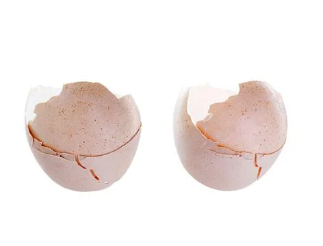 Broken eggs with a cracked shell, part of a cracked brown egg isolated. Stock Photos
