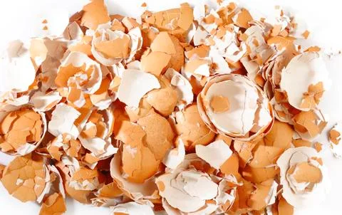 Broken eggs Stock Photos