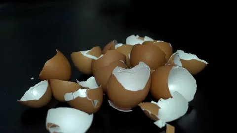 Broken eggshell on black background. Collecting eggshells Stock Footage 295672154